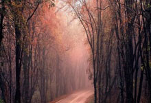 中国女足教练：生死战前给队员解压成第一任务北京青年报.