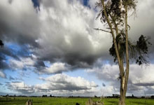 [澳网]萨巴伦卡晋级澳网女单四强.